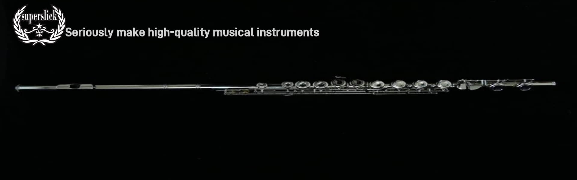 Hebei Jiaxing Musical Co., Ltd.